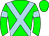 Horse silk
