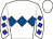 Horse silk