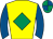Horse silk