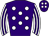 Horse silk