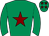 Horse silk