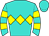 Horse silk