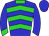 Horse silk