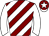Horse silk