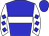 Horse silk