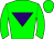 Horse silk