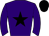 Horse silk