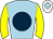 Horse silk
