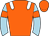 Horse silk