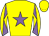 Horse silk