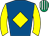 Horse silk