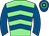 Horse silk