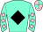 Horse silk