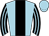 Horse silk