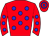 Horse silk