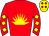 Horse silk
