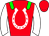 Horse silk