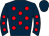 Horse silk