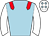 Horse silk