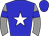 Horse silk