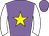Horse silk