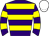 Horse silk