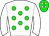 Horse silk