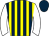 Horse silk