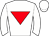 Horse silk