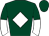 Horse silk