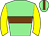 Horse silk