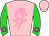 Horse silk
