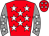 Horse silk
