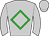 Horse silk