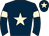 Horse silk