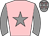 Horse silk