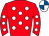 Horse silk