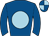 Horse silk