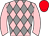 Horse silk