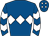 Horse silk