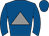 Horse silk
