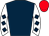 Horse silk