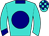 Horse silk
