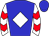 Horse silk