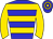 Horse silk