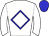 Horse silk
