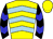 Horse silk