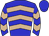 Horse silk