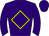 Horse silk