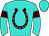 Horse silk